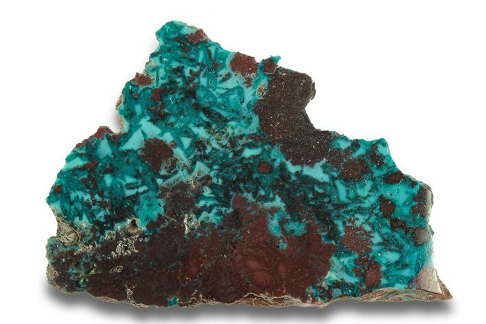 Colorful Chrysocolla and Shattuckite Section - Mexico #280130